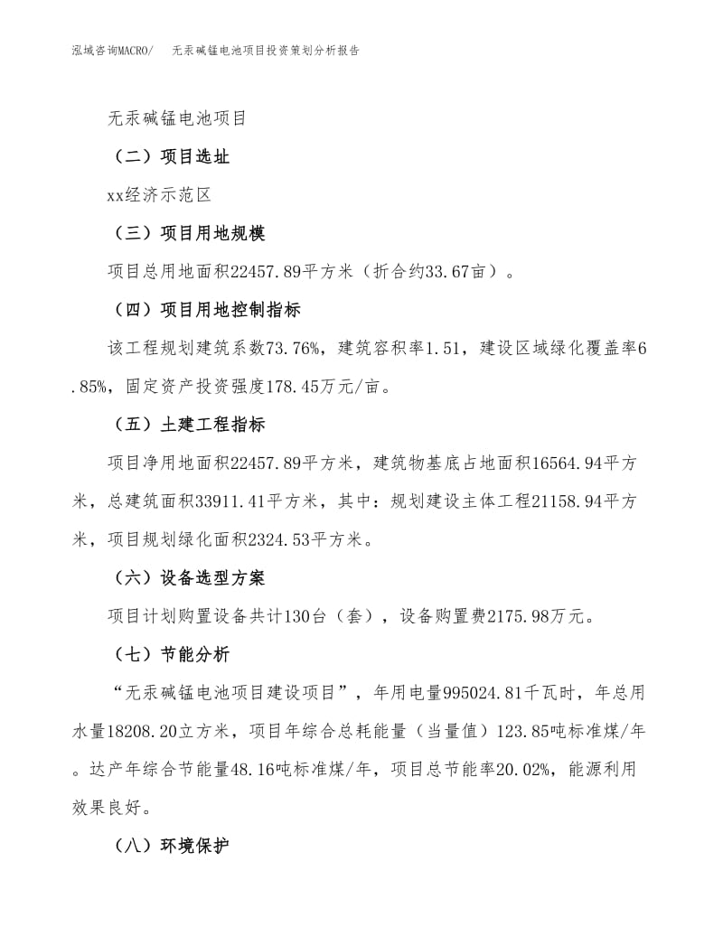 無汞堿錳電池項(xiàng)目投資策劃分析報(bào)告范文模板.docx