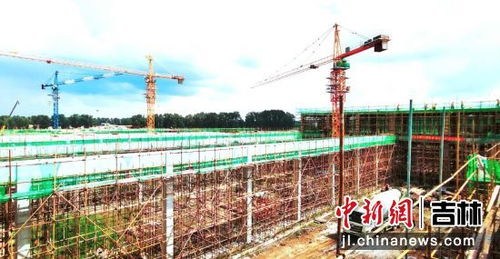 總投資3.1億元，德翔食品年加工一億只肉雞屠宰廠項(xiàng)目順利推進(jìn)的戰(zhàn)略規(guī)劃與投資價(jià)值分析